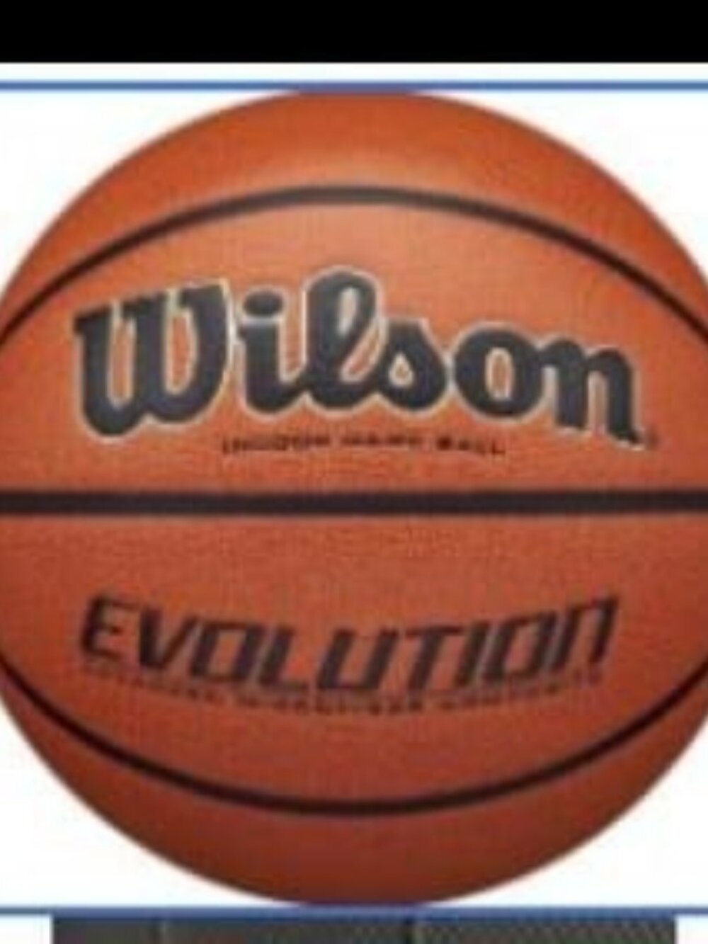 Wilson evolution basketball game indor size 29.5